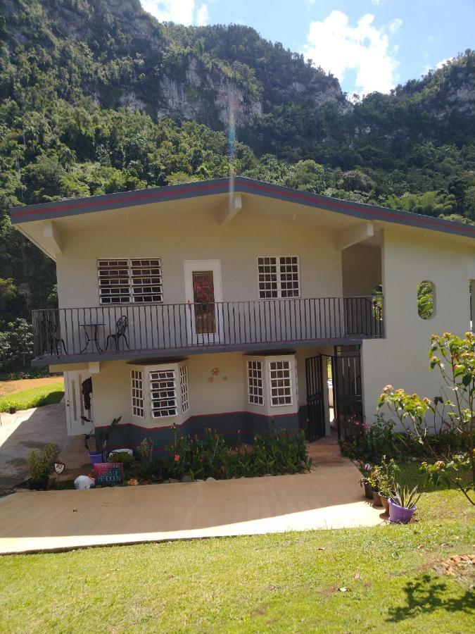 Casa De Campo Rio Arriba Arecibo Extérieur photo