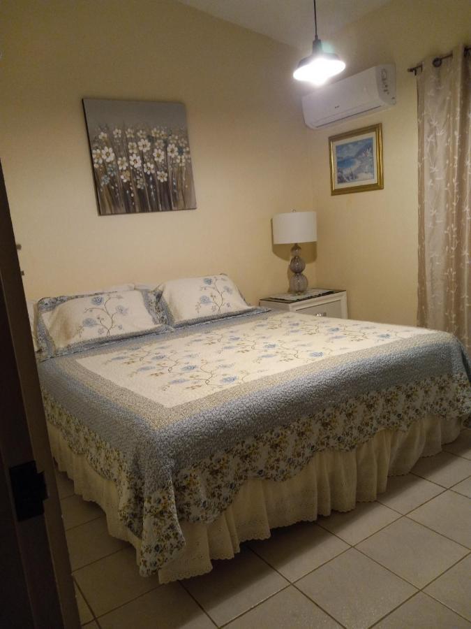 Casa De Campo Rio Arriba Arecibo Extérieur photo